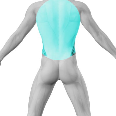 Laser Hair Removal for men's Full back
